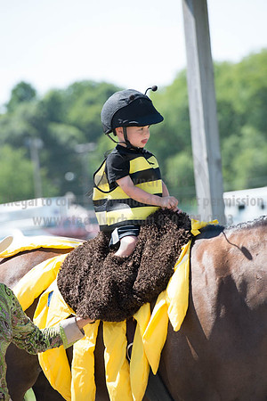 2016DCF_08272016_SCL_1253