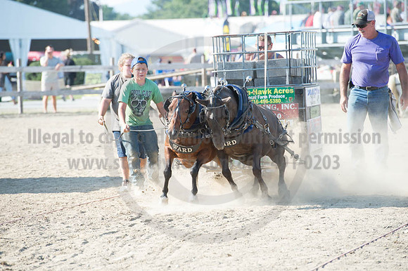 2016DCF_08272016_SCL_1464