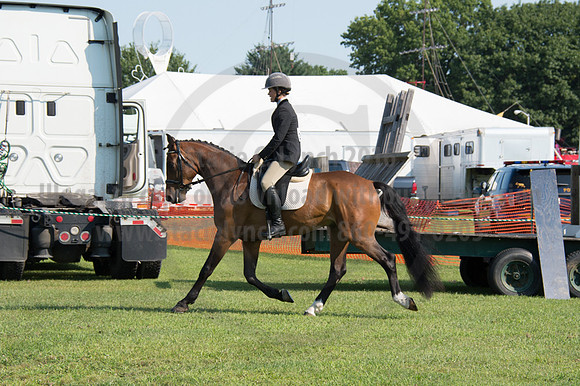 2016DCF_08242016_SCL_8561