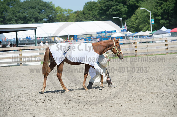 2016DCF_08272016_SCL_1248