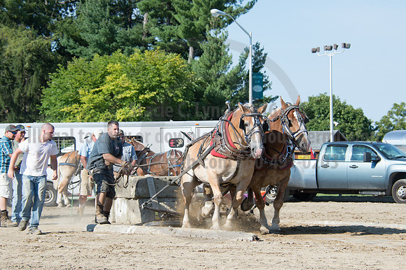 2016DCF_08242016_SCL_9446