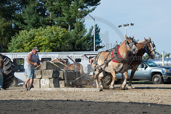2016DCF_08242016_SCL_9554