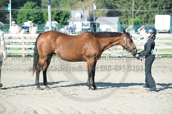 2016DCF_08272016_SCL_0919