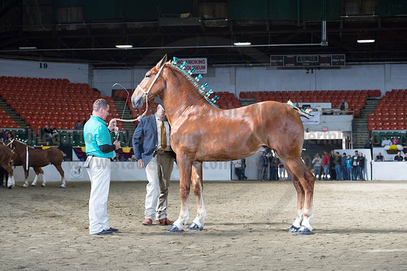 NABC8_10122016_SCL_2886