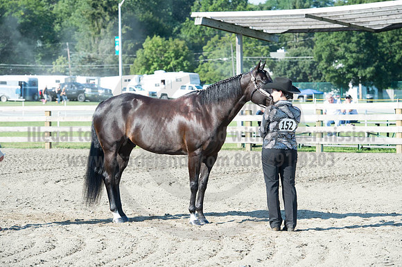 2016DCF_08272016_SCL_0973
