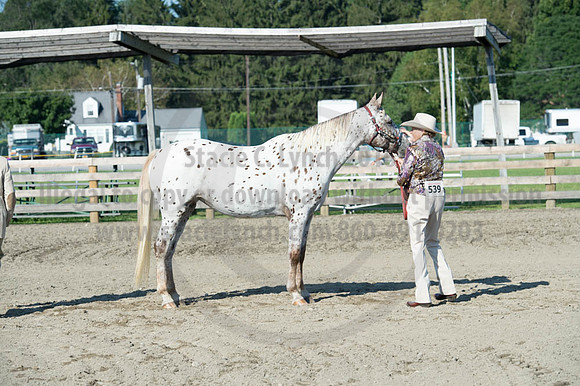2016DCF_08272016_SCL_0953