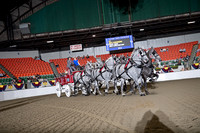 BigE_09272024_SCL1309