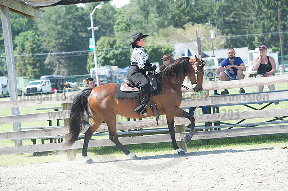 2016DCF_08272016_SCL_1315