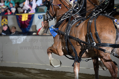 BigE_09262024_SCL0281