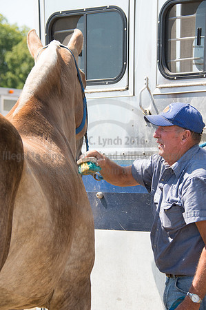 2016DCF_08242016_SCL_9216