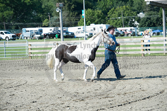 2016DCF_08272016_SCL_1029