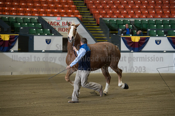 NABC8_10132016_SCL_5034
