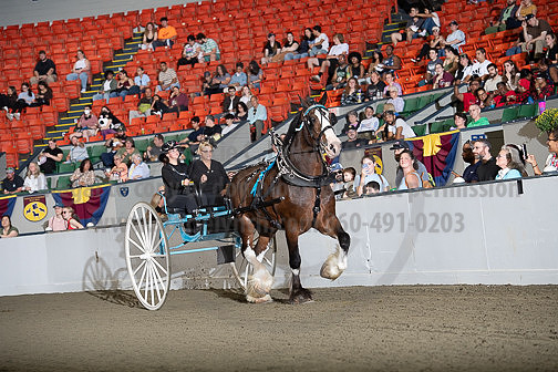 BigE_09282024_SCL1476