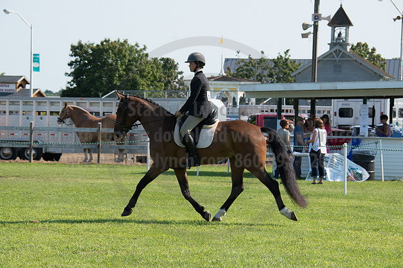 2016DCF_08242016_SCL_8558