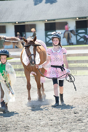 2016DCF_08272016_SCL_1245