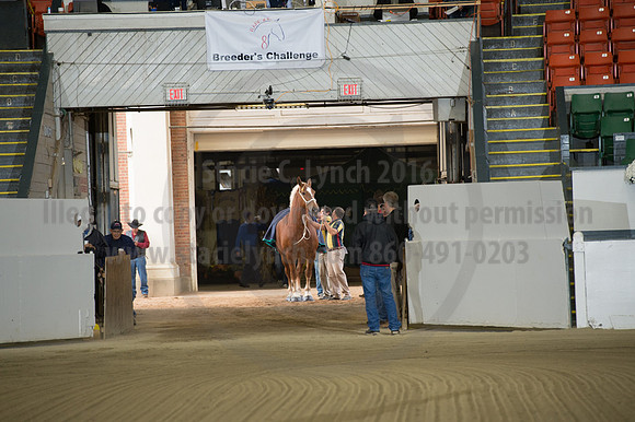 NABC8_10132016_SCL_5032