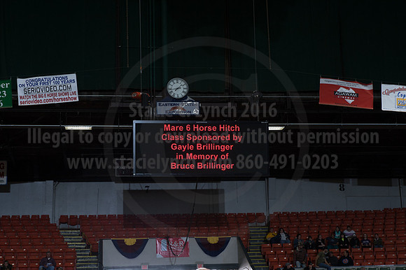 NABC8_10142016_SCL_8661