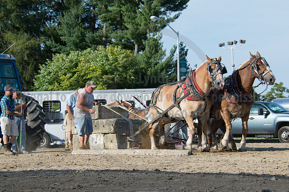 2016DCF_08242016_SCL_9555