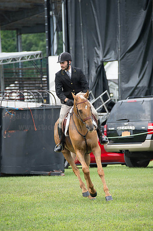 2016DCF_08252016_SCL_9983