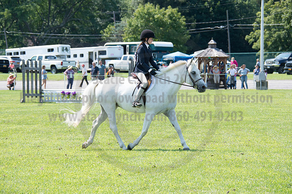 2016DCF_08242016_SCL_8903