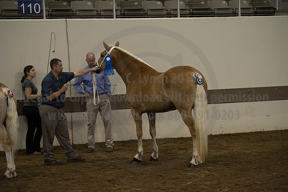 ISF_08192016_SCL_4361