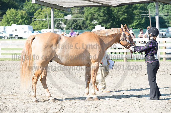 2016DCF_08272016_SCL_1012