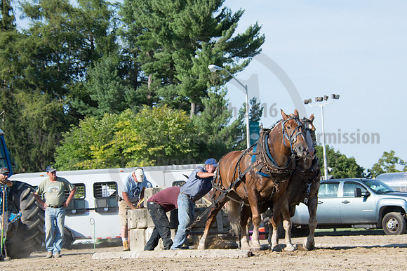 2016DCF_08242016_SCL_9522