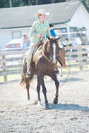 2016DCF_08272016_SCL_1104