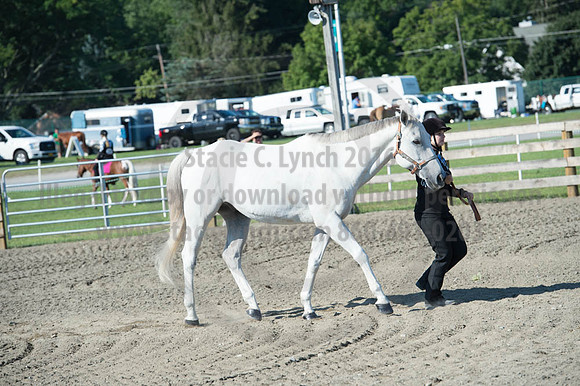 2016DCF_08272016_SCL_1003