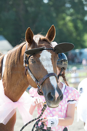 2016DCF_08272016_SCL_1274