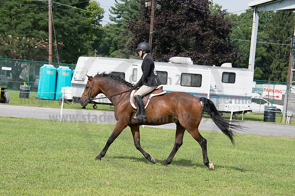 2016DCF_08252016_SCL_9700