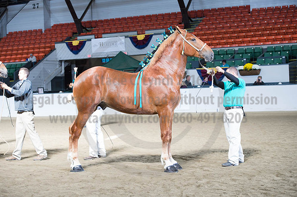 NABC8_10122016_SCL_2933