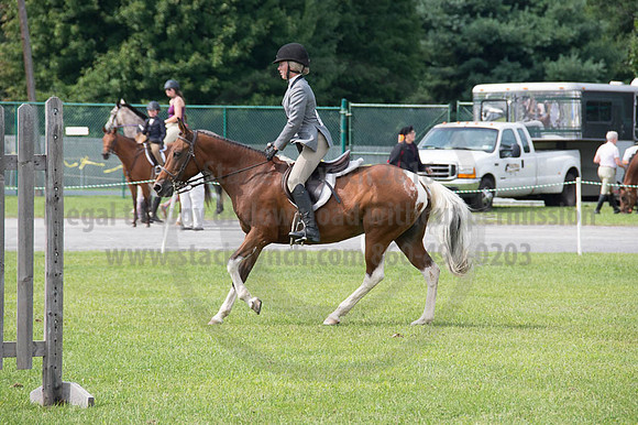 2016DCF_08252016_SCL_9765