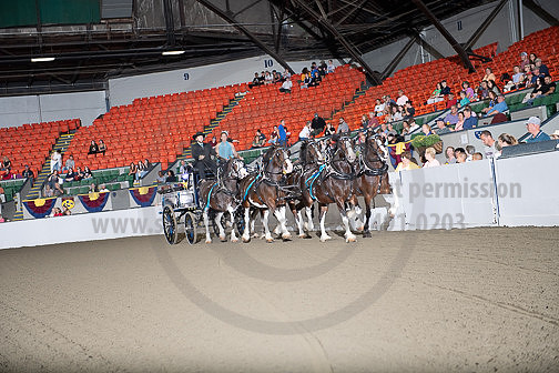 BigE_09272024_SCL0730