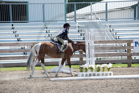 2016DCF_08242016_SCL_8838