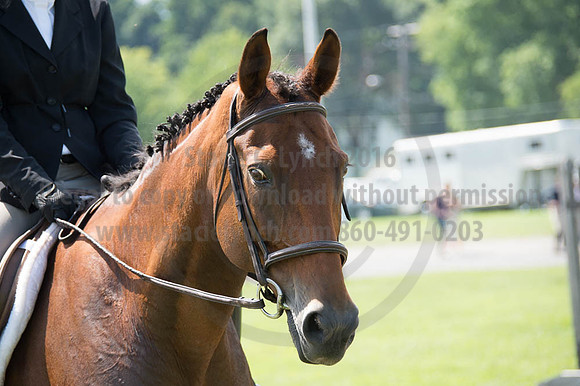 2016DCF_08262016_SCL_0448