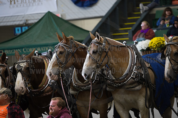 NABC8_10142016_SCL_9689