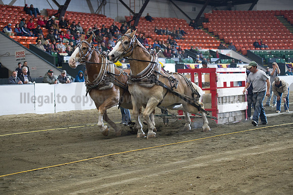 NABC8_10142016_SCL_9405