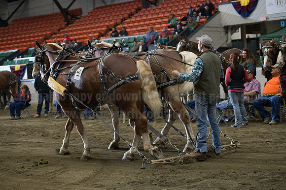 NABC8_10142016_SCL_9659
