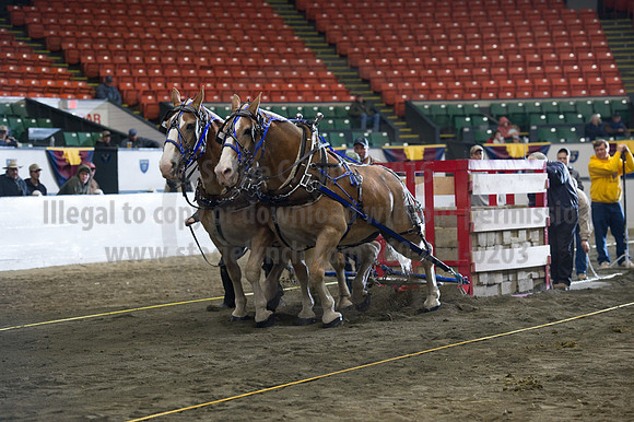 NABC8_10142016_SCL_9702