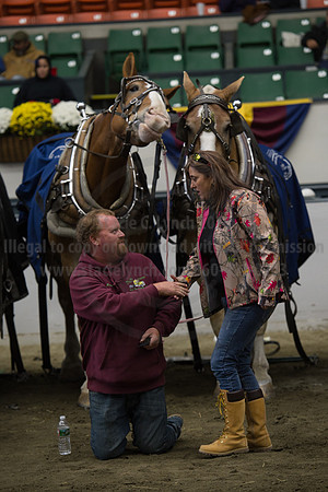 NABC8_10142016_SCL_9687
