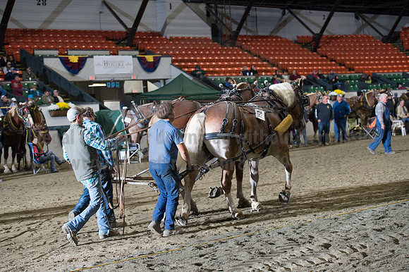 NABC8_10142016_SCL_9791