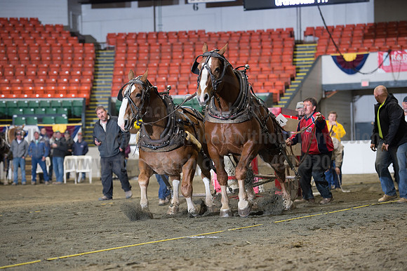 NABC8_10142016_SCL_9594
