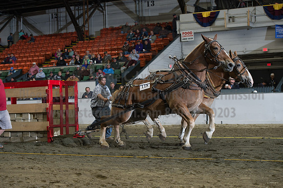 NABC8_10142016_SCL_9526