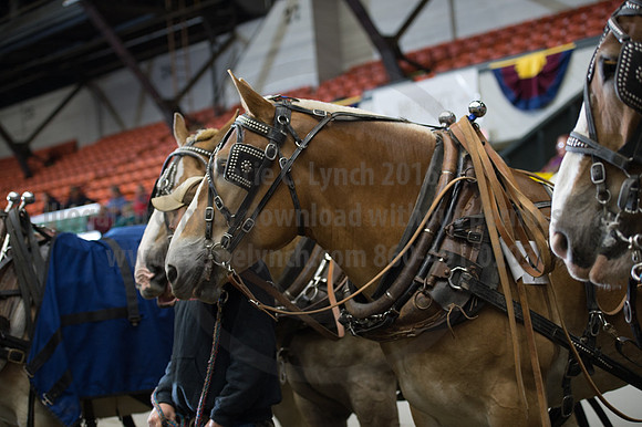 NABC8_10142016_SCL_9899