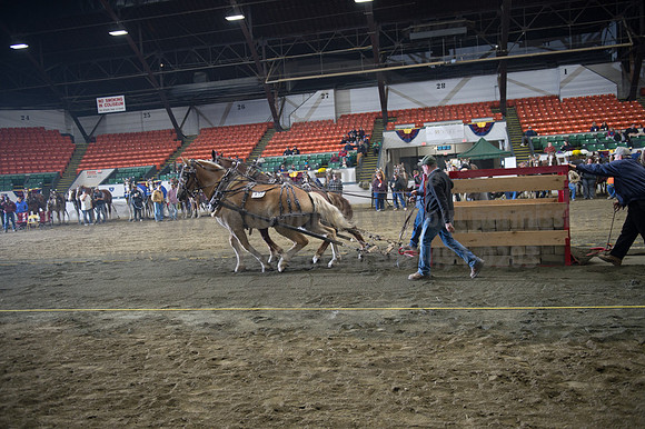 NABC8_10142016_SCL_9359