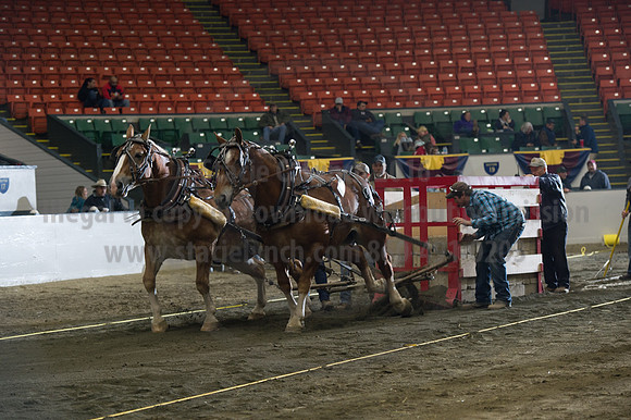 NABC8_10142016_SCL_9467