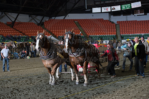 NABC8_10142016_SCL_9867