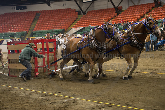 NABC8_10142016_SCL_9576