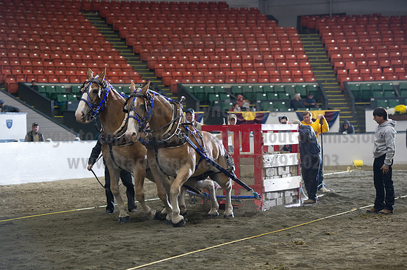 NABC8_10142016_SCL_9697